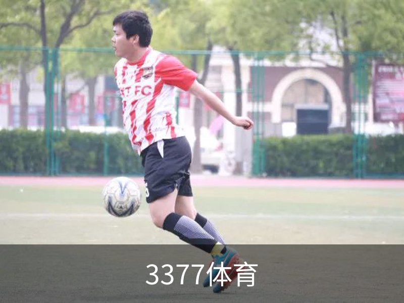 3377体育介绍